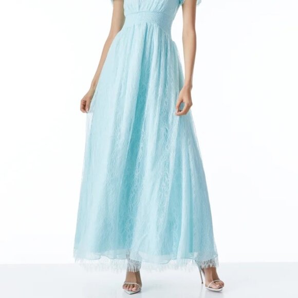 Alice and Olivia Gown Powder Blue NWT MSRP $595 - Picture 2 of 12